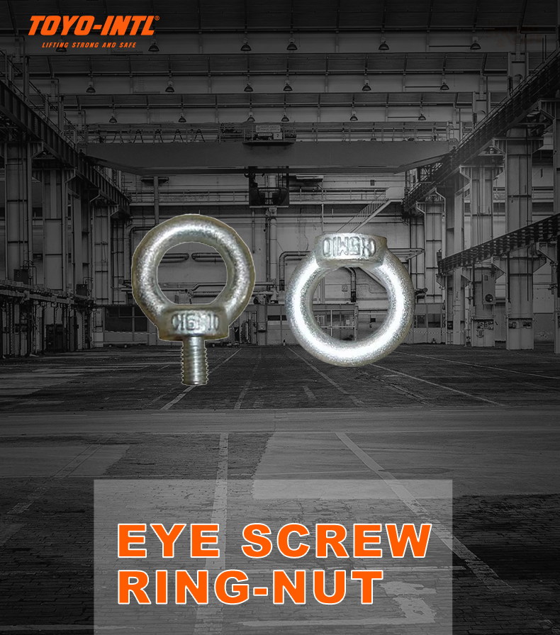 TOYO-INTL DIN580 DIN582 Eye Screw And Ring-nut