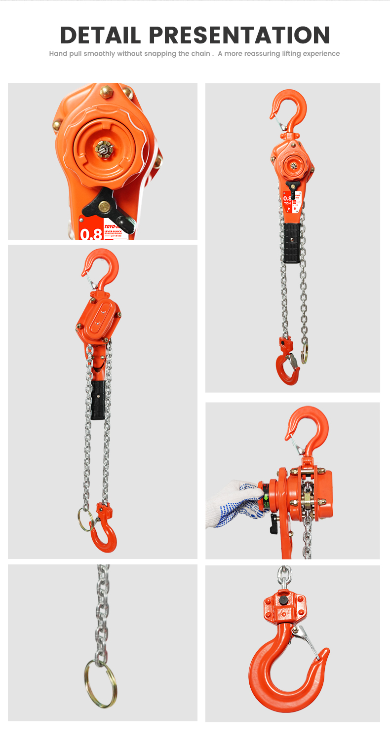 TOYO-INTL LBG Lever Hoist 10 TOYO-INTL LBG Lever Hoist - Image 9