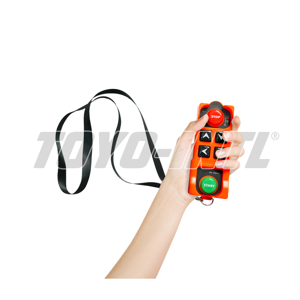 TOYO-INTL PAW Electric Hoist